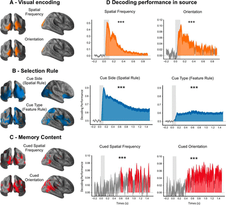 Brain dynamics of selection and maintenance of memory content